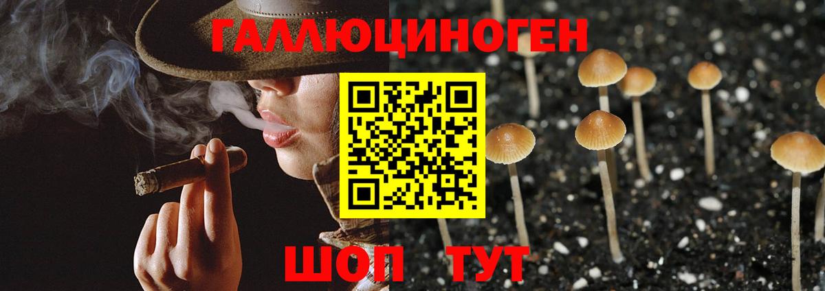 Галлюциногенные грибы GOLDEN TEACHER Калуга