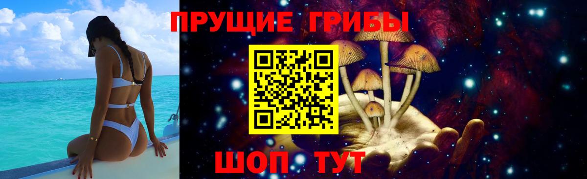 Псилоцибиновые грибы мицелий  Псилоцибиновые грибы Magic Shrooms  Вход с VPN  Калуга 